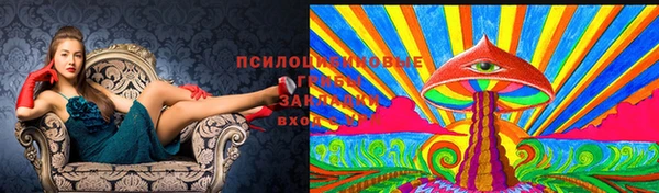 mdma Верхний Тагил